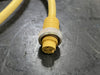 CROUSE-HINDS 6' 3Pin Female Cord Neoprene Connector 13A, 600V MEC1337M
