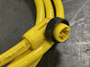 CROUSE-HINDS 6ft Cable 16 AWG 3/C STOW 600V w/ 3-Pins Right Angle Male Plug  5000109-15C