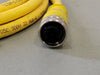 WOODHEAD 6-Pole Female Straight 12' 22/6 AWG PVC w/BRD Cord 706000D02F1201