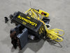 R&M MATERIALS HANDLING 2 Ton Electric Chain Hoist LM102.00024PC16T2