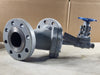 SPIRAX SARCO 3" Class 300 Check Valve w/ Velan 3/4" Class 800 Gate Valve C-2054B-02TY