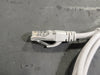 CAT5E 4UTP Patch Cord, 6 ft, (Box of 50)