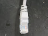 CAT5E UTP Patch Cord, 28AWG, 5 ft, (Box of 50)