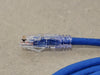 PANDUIT NetKey Cat 6 24AWG UTP Patch Cord 10ft Blue NK6PC10BUY (Box of 10)