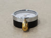 PIC GAUGES 2-1/2" Pressure Gauge 0-200 PSI, 1/4" NPT, 101D-254G