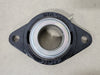 INA Flange Bearing CJT10, GE50-KRR-B, PCJT-50-N