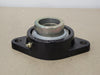INA Flange Bearing CJT10, GE50-KRR-B, PCJT-50-N