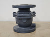 3" 200 CWP Cast Iron Flanged Ball Valve G4000