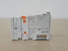 WAGO 2-Channel Analog Input PLC Module 750-466