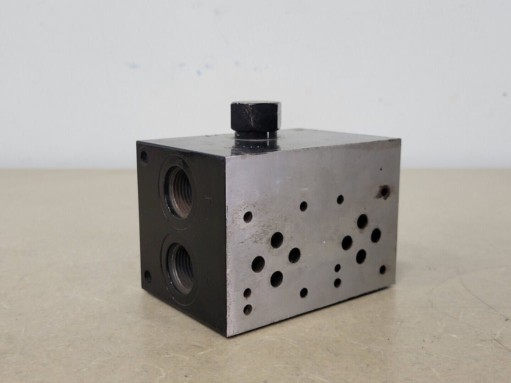 HY-SPEC Hydraulic Manifold Valve HYS-DD03-P-02-2SS