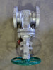 BERIC 3" Class 150 Wedge Gate Valve