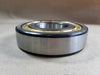 SKF Cylindrical Roller Bearing NJ313M