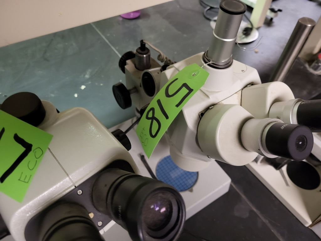 FISHER SCIENTIFIC COMPANY STEREOMASTER Binocular Microscope