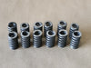 Spring 60477296 (Bag of 12)