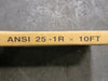 Roller Chain ANSI 25-1R X 10FT