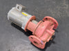GRUNDFOS 0.33HP Pump D49105121 P1 9651, UMT 50-40 U-G-A-AUUE
