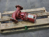 ARMSTRONG 1/2 HP In-Line Circulator Pump S-55-3 BF