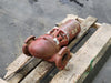 ARMSTRONG 1/2 HP In-Line Circulator Pump S-57-3 BF