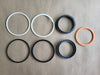 Piston Rod Seal Kit HSKN25-665-16 and HSKN25-511-1