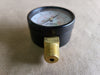 WINTERS 2", 160 PSI Pressure Gauge PEM203