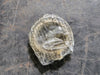TIMKEN Tapered Roller Bearing LM67048