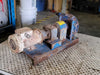 HAYWARD GORDON Hose Pump SP15N w/ Gearmotor