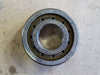 SKF Single Row Cylindrical Roller Bearing NJ 203 ECP