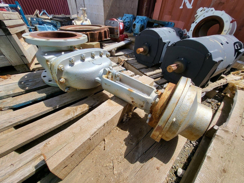 NEWAY 10" Class 150 Gate Valve 10G1RC12-NC-000