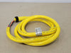 BRAD HARRISON 6 ft 16/5 PVC Cordset, 5 Pin Female, 41307