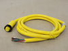 DANIEL WOODHEAD 6 ft 16/4 Cordset, 4 Pin Female, 41108 
