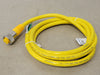 TURCK Actuator and Sensor Cable RKM 36-2M