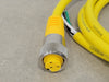 TURCK Actuator and Sensor Cable RKM 36-2M