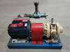 WANNER ENGINEERING INC. Industrial Pump D03XASGSSSMA w/ Pump Unit 8F & Relief Valve