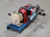 WANNER ENGINEERING INC. Industrial Pump D03XASGSSSMA w/ Pump Unit 8F & Relief Valve