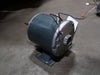 MARATHON ELECTRIC 1/3 hp, 115 volts, 1725 rpm, 56Z Electric Motor KWJ56S17T604F