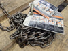 BEEBE 5 Ton Chain Hoist CF050-10