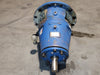 GOULDS Power End for Model 3175 Pump Size 6x8-18, 1020GPM, 109ft Head
