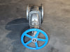 FZV 10" Class 150 Gate Valve GA10R1S12H-N