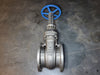 FZV 10" Class 150 Gate Valve GA10R1S12H-N