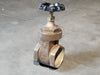 3" Class 200 Brass Gate Valve 