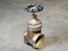 3" Class 200 Brass Gate Valve 
