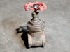 KITZ 2" Class 125 Brass Gate Valves No. 27