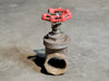 KITZ 2" Class 125 Brass Gate Valves No. 27
