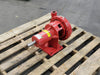 PLAD End Suction Pump BM-152010A-1BBF1, 110 GPM, 220 FT