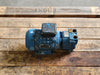 POMPETRAVAINI Vacuum Pump TRMX 257/1-C/RX