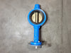 HAULPAK Butterfly Valve EH1572