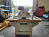 CANTEK C12RS Straight Line Rip Saw