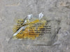 DONALDSON Air Filter P505976