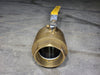 BII 4", 400 WOG, 150 WSP, Ball Valve 119NPT