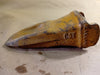 CATERPILLAR K80 K Series General Duty Tip 220-9089